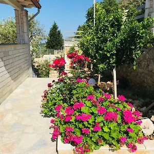 vila-milo.albaniahotels.org/